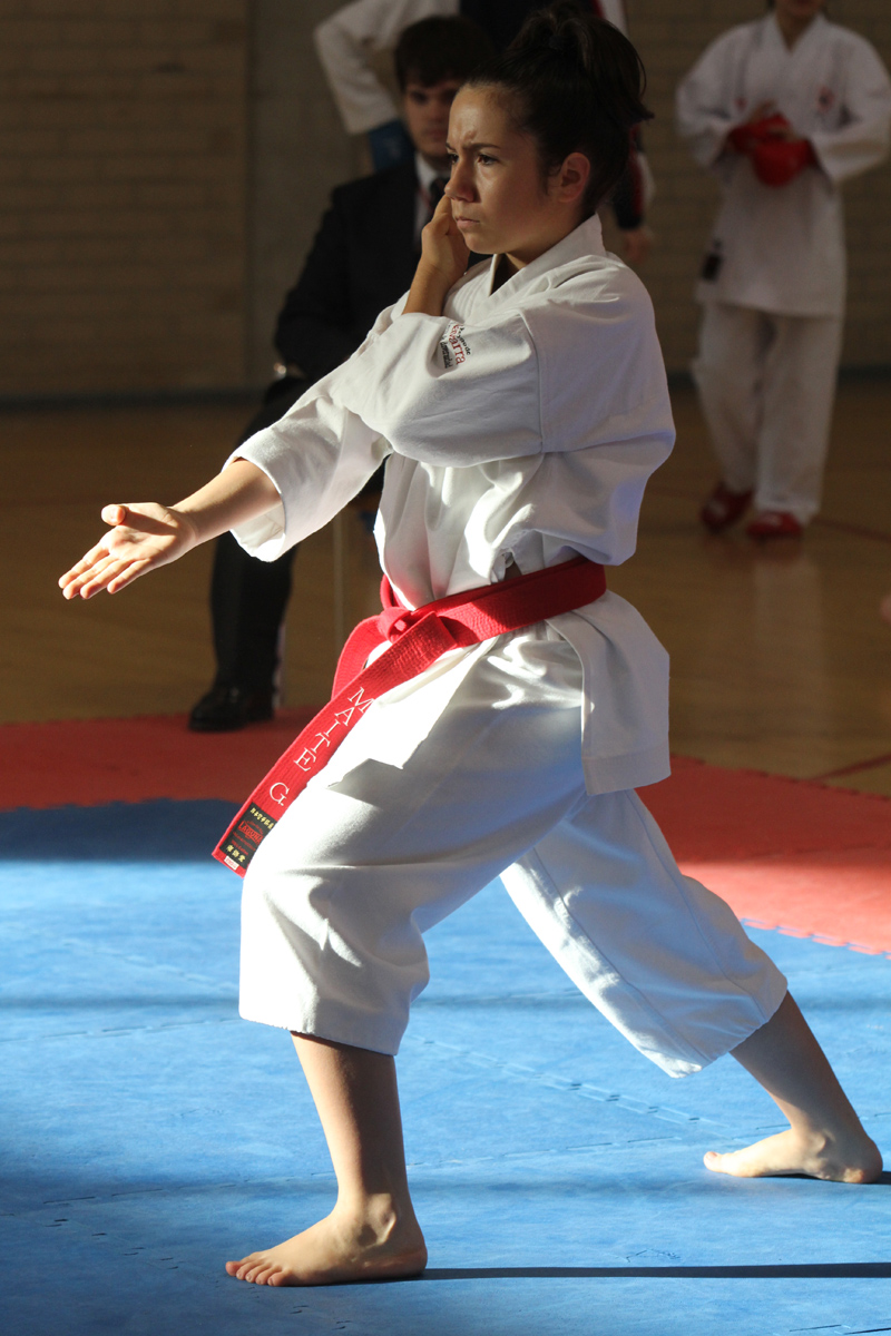 Resultados IV Copa Navarra de Karate.